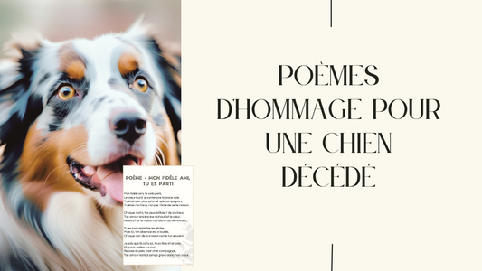 Poèmes pour rendre hommage à un chien décédé